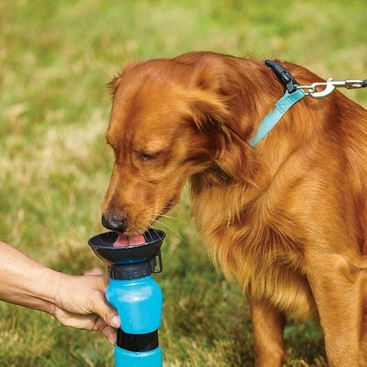 Pet Sipper Portable Aqua Fresh Water Pump Bowl Bottle Mug Cup for Pet-Pet Beds-Muaazon Store-18279